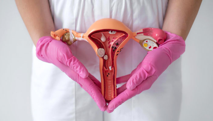 Female Genital Procedures: Labiaplasty, Hymenoplasty & Vaginal Tightening