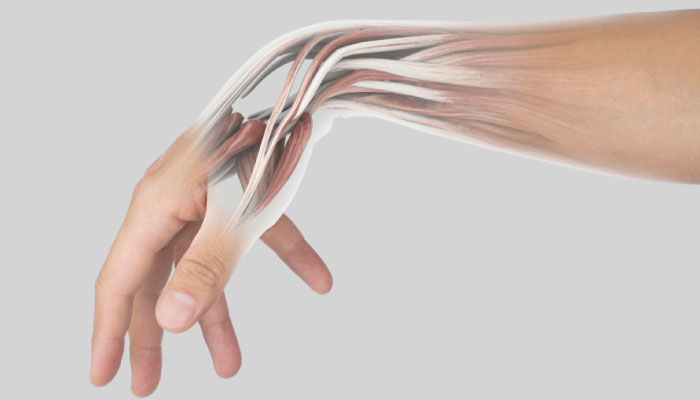 Reconstructive Surgery: Hand, Tendon & Nerve Repair